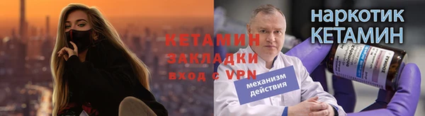 прущие грибы Пересвет