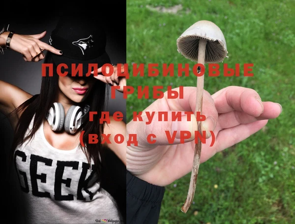 прущие грибы Пересвет