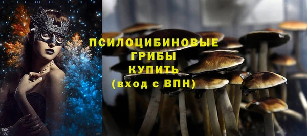 прущие грибы Пересвет