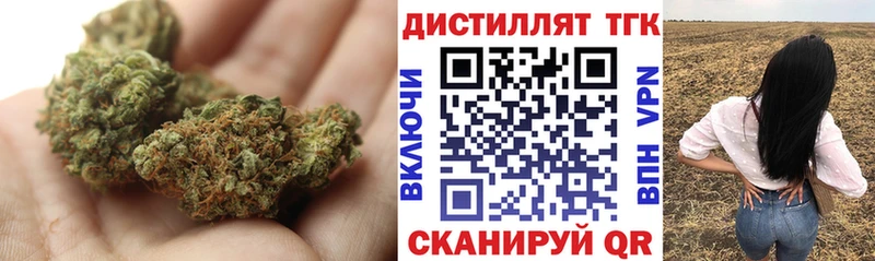 закладки  Торжок  Дистиллят ТГК концентрат 