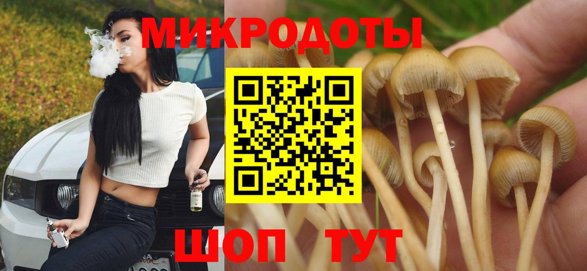 Псилоцибиновые грибы Cubensis Торжок