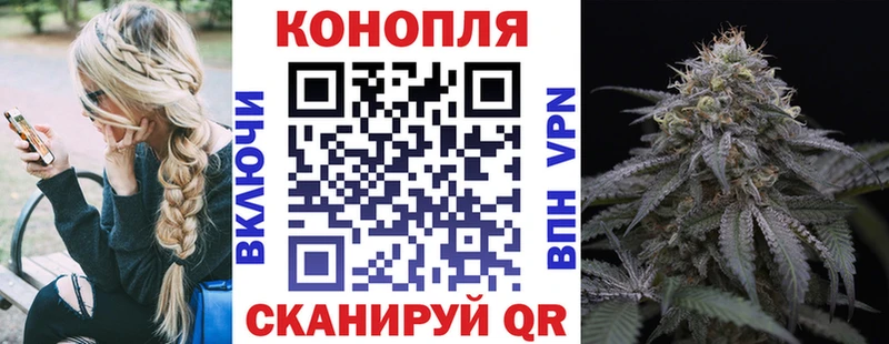 Каннабис конопля Торжок